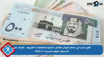 تغير جديد في سعر الريال مقابل الجنيه والعملات العربية.. تعرف على الأسعار اليوم السبت 1-2-1447